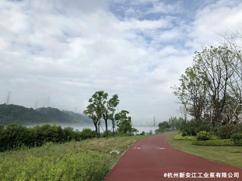 草莓视频在线 (1)