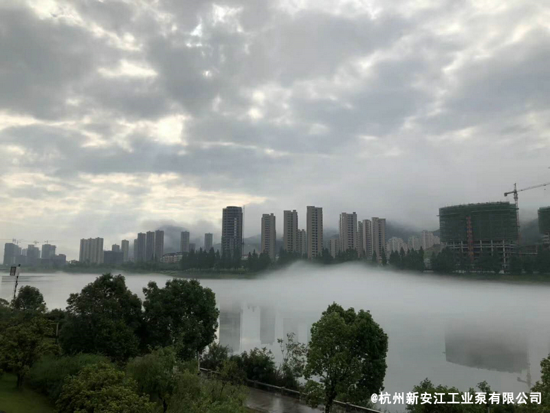 草莓视频在线 (6)