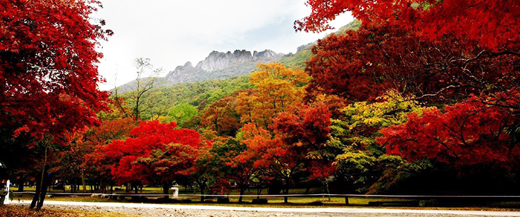 杭州草莓视频在线工業泵（bèng）有限公司（sī）-水環式真空泵 (9)