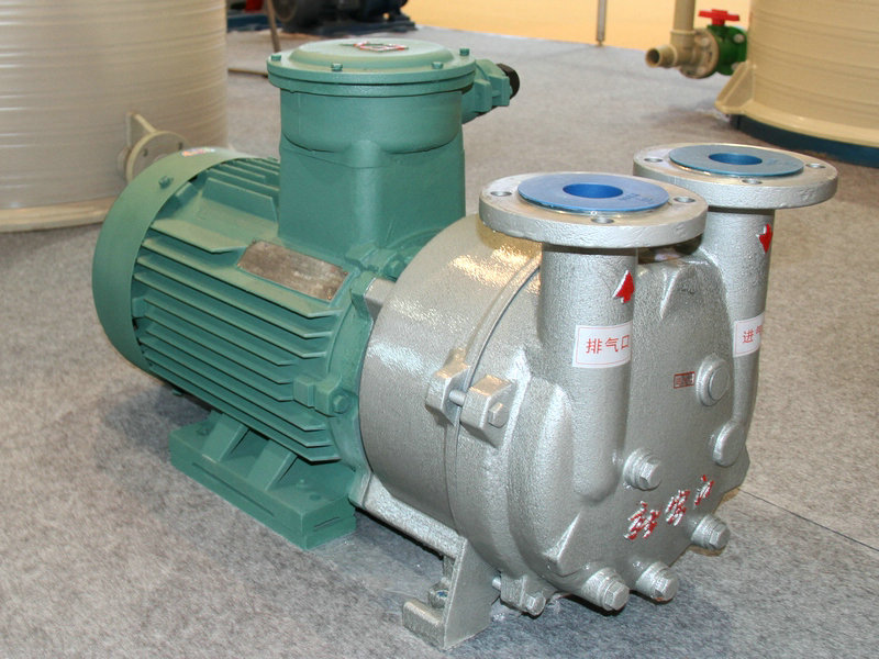 耐腐蝕2BV液環真空泵 (1)