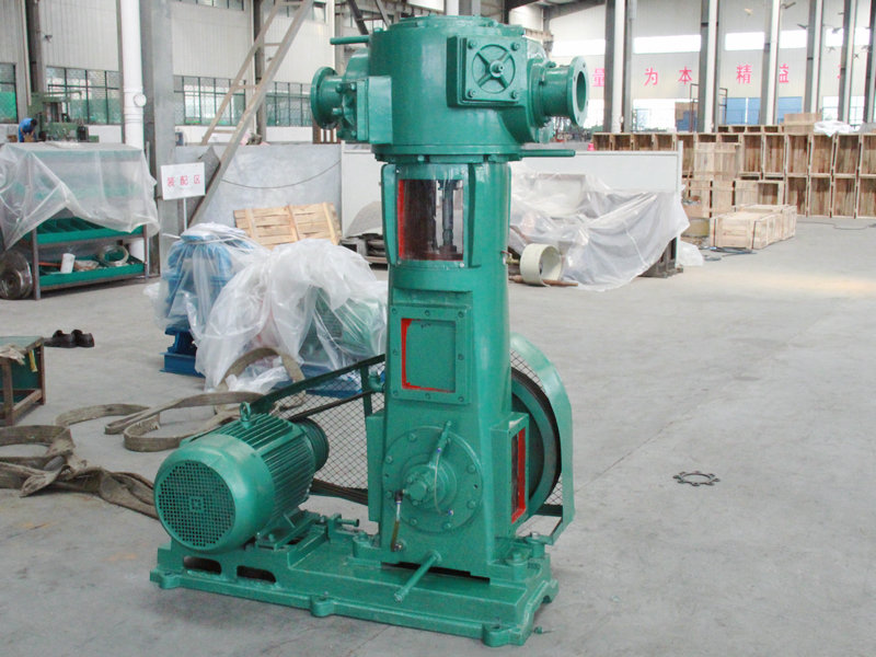 WLW無油立（lì）式真空泵 (2)