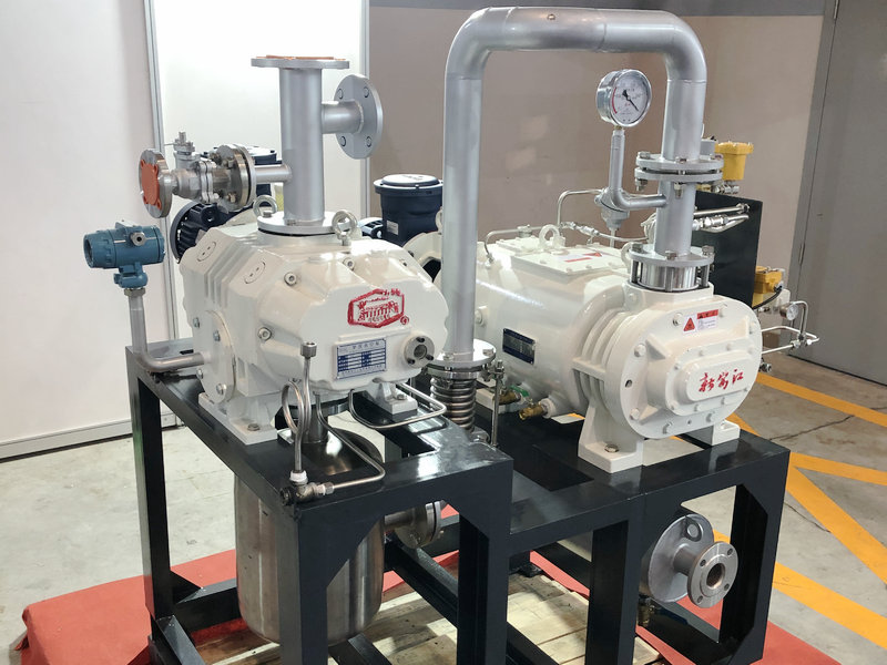 羅（luó）茨（cí）真空泵 (2)