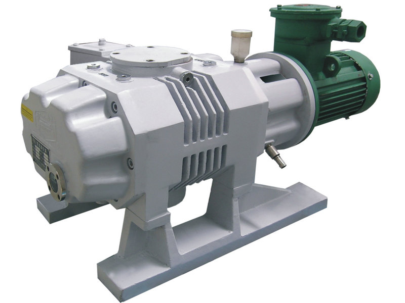 羅茨真空（kōng）泵ZJP-600