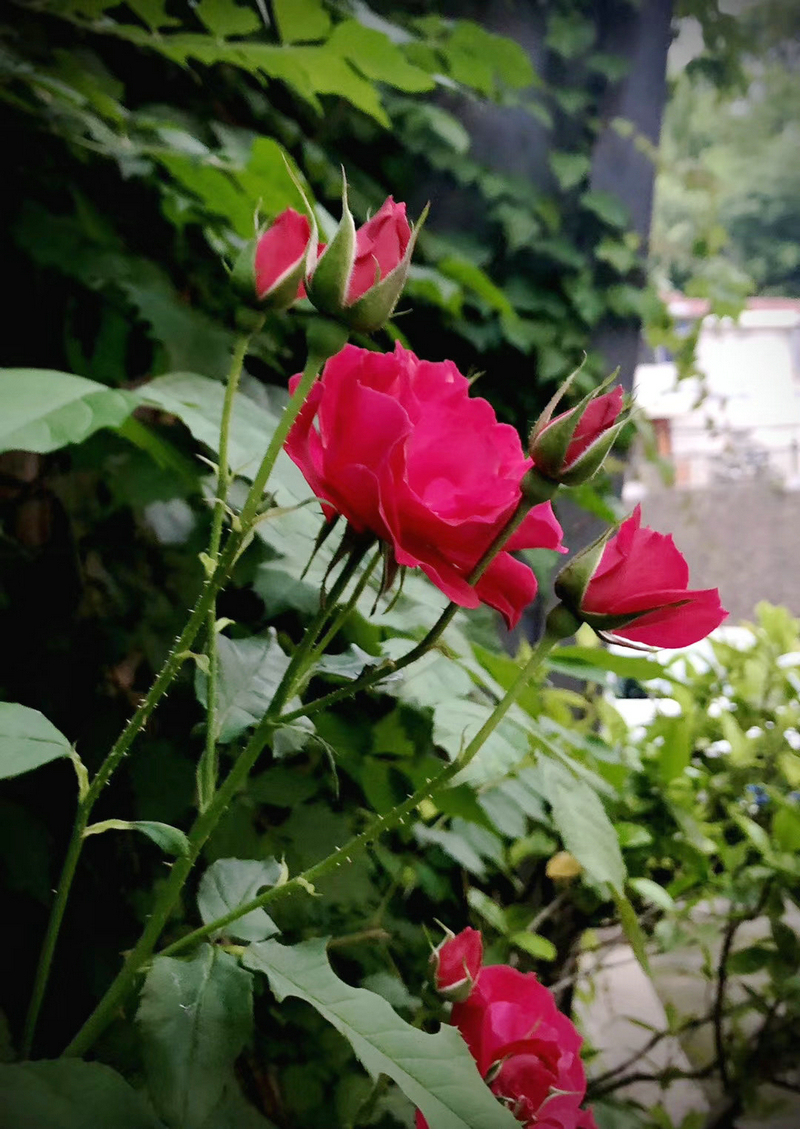 杭州草莓视频在线工業泵有限公司 (1)