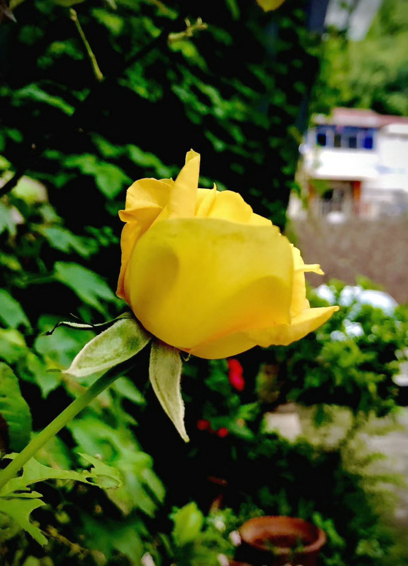 杭州草莓视频在线工業泵（bèng）有限公（gōng）司 (2)