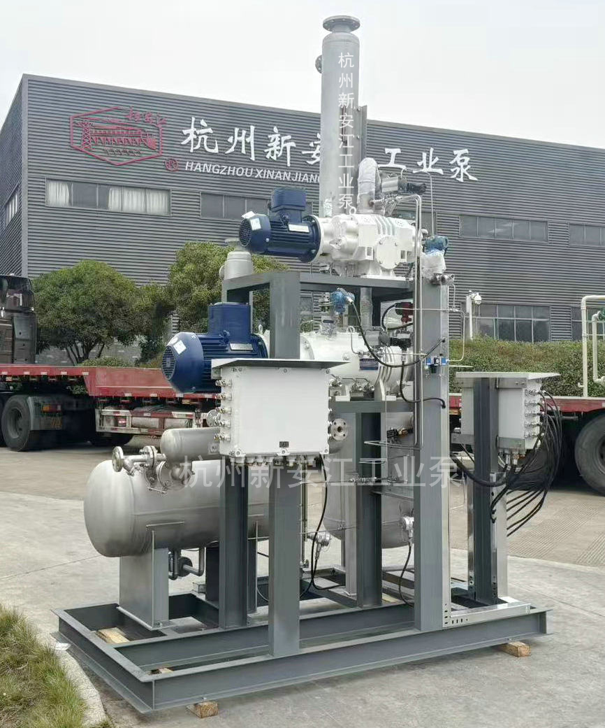 集成化羅茨螺杆真空機組，高效穩定，勝任複雜苛刻工藝-杭州草莓视频在线工業泵有（yǒu）限公司