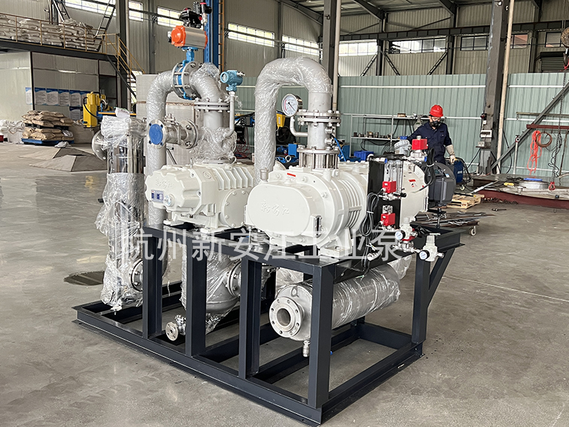 幹式螺杆真空泵-杭州新（xīn）安江工業（yè）泵有限公司 (2)