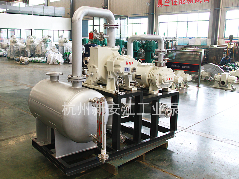 幹式螺杆真空泵-杭州新（xīn）安江工業泵有限公司 (3)