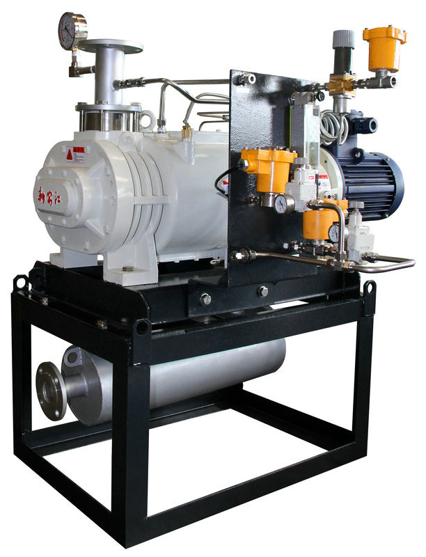 螺杆（gǎn）真空泵1