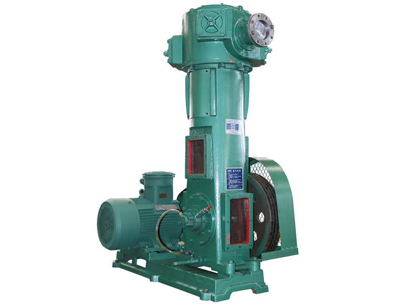 WLW係列無油立式真空泵（bèng）